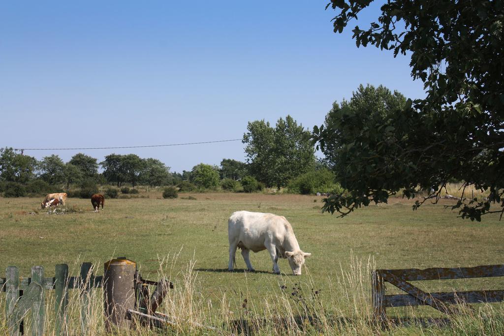 Gula Hoenan Guest House Ronehamn Esterno foto